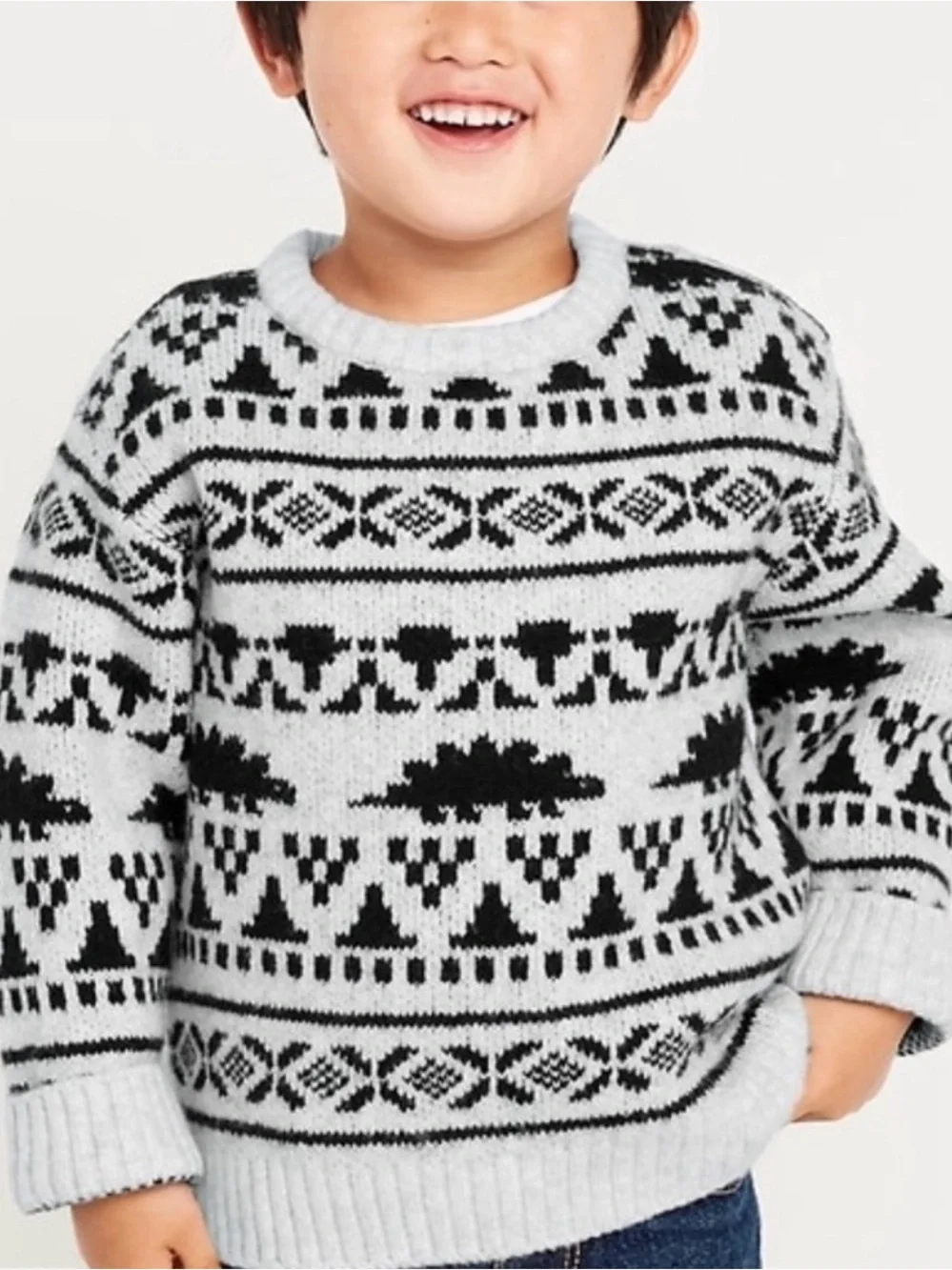 Old Navy Kids Fair Isle Dinosaur Sweater Boys’ Size 2T